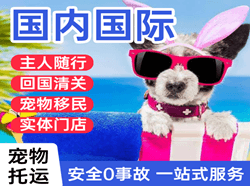 三义空运国际宠物托运 【国